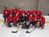 tseniorsredwings_small.jpg